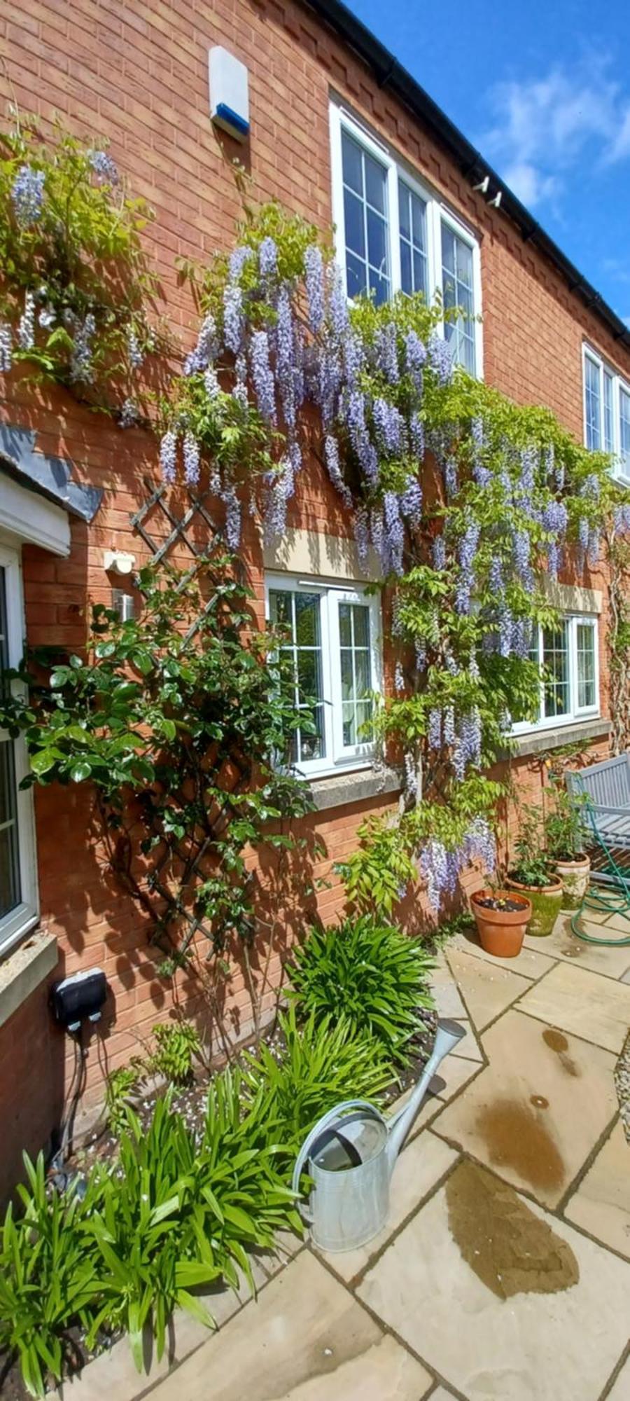 Harlequin B&B Ледбъри Екстериор снимка